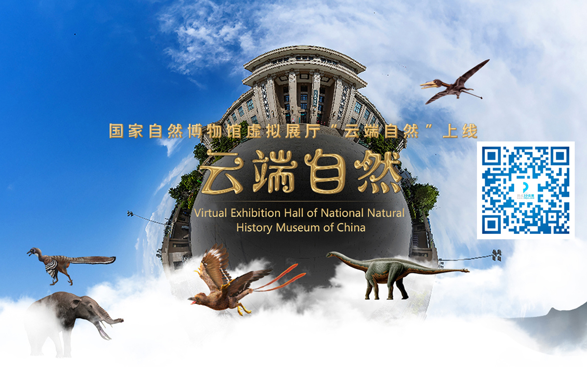 數(shù)字化博物館虛擬展廳設(shè)計(jì)