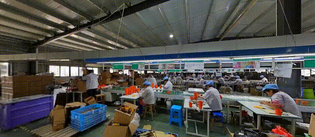 圓桌3D云展平臺(tái):提供VR全景拍攝制作 VR全景拍攝制作