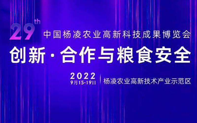 云上農高會線上展覽：全新VR展示線上虛擬展廳展館，等你來打卡！