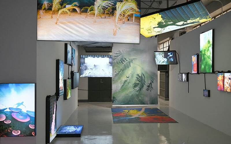 虛擬藝術(shù)展覽3D網(wǎng)上展廳