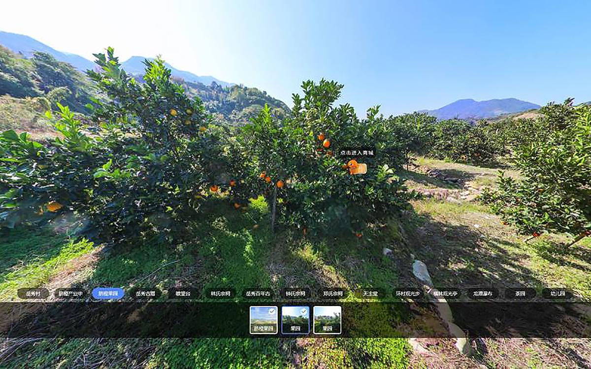 VR全景拍攝技術讓農產品“活”起來