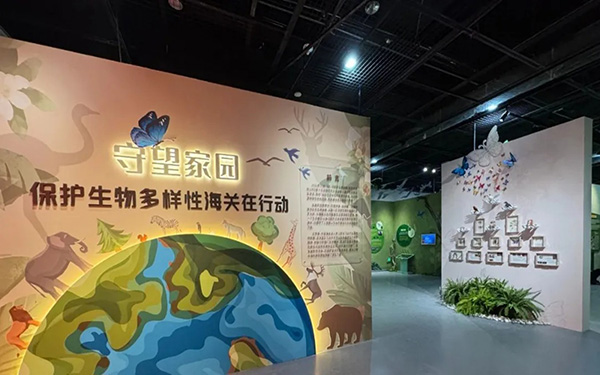 探秘“守望家園”虛擬展廳：海關(guān)守護(hù)生物的多樣性